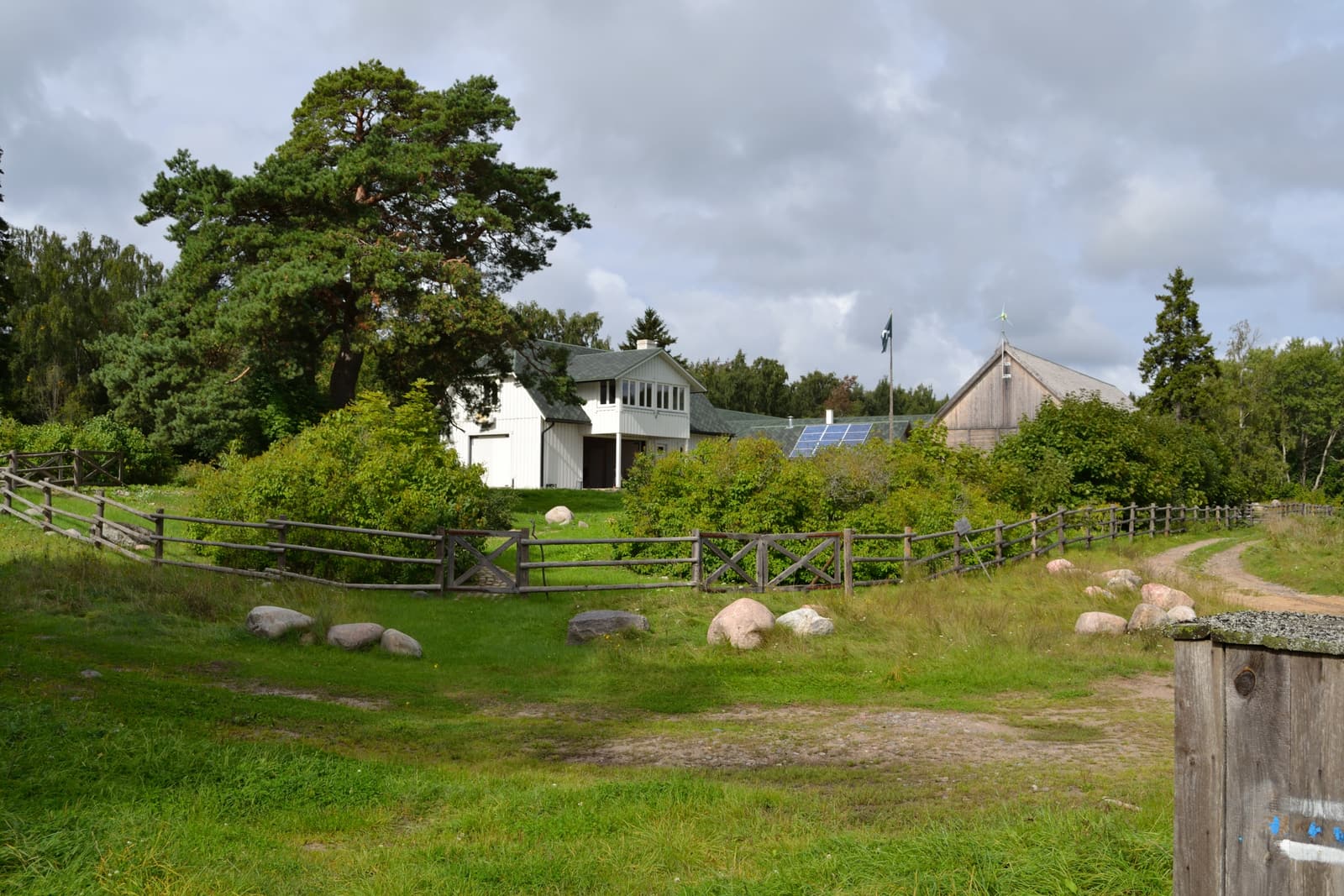 White farmhouses, stone walls and a pine tree in the village of Lõunaküla on Naissaar