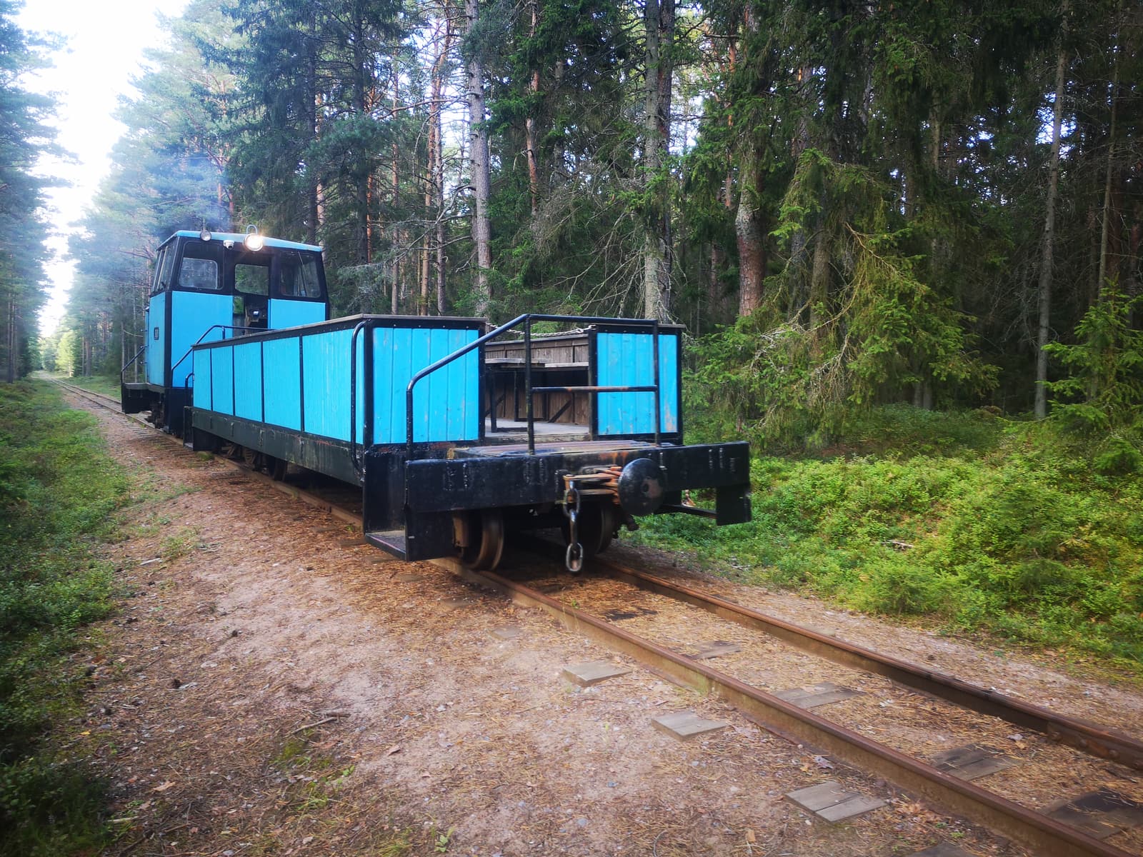 A small blue train on the narrow-gauge railway in the pine forest of Naissaar
