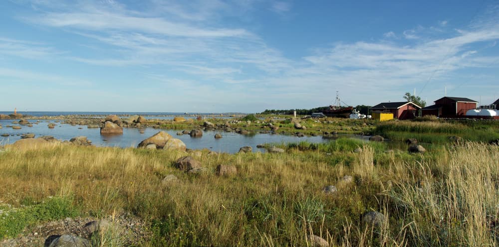 The low, grassy shore of Prangli island with harbour buildings in the distance